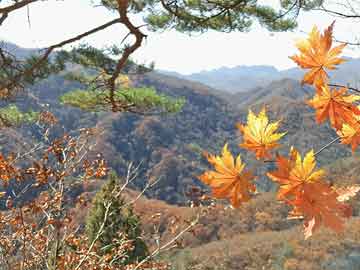 丁雪峰最新消息2016年，音乐才子迈向新征程