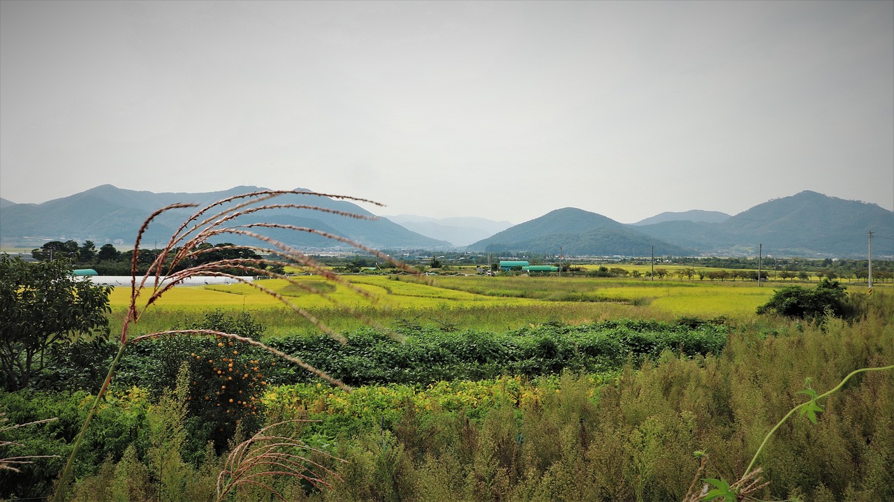 最新农村建房造型图，塑造美丽乡村的新面貌