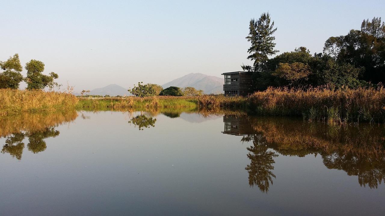 长葛湿地公园最新消息