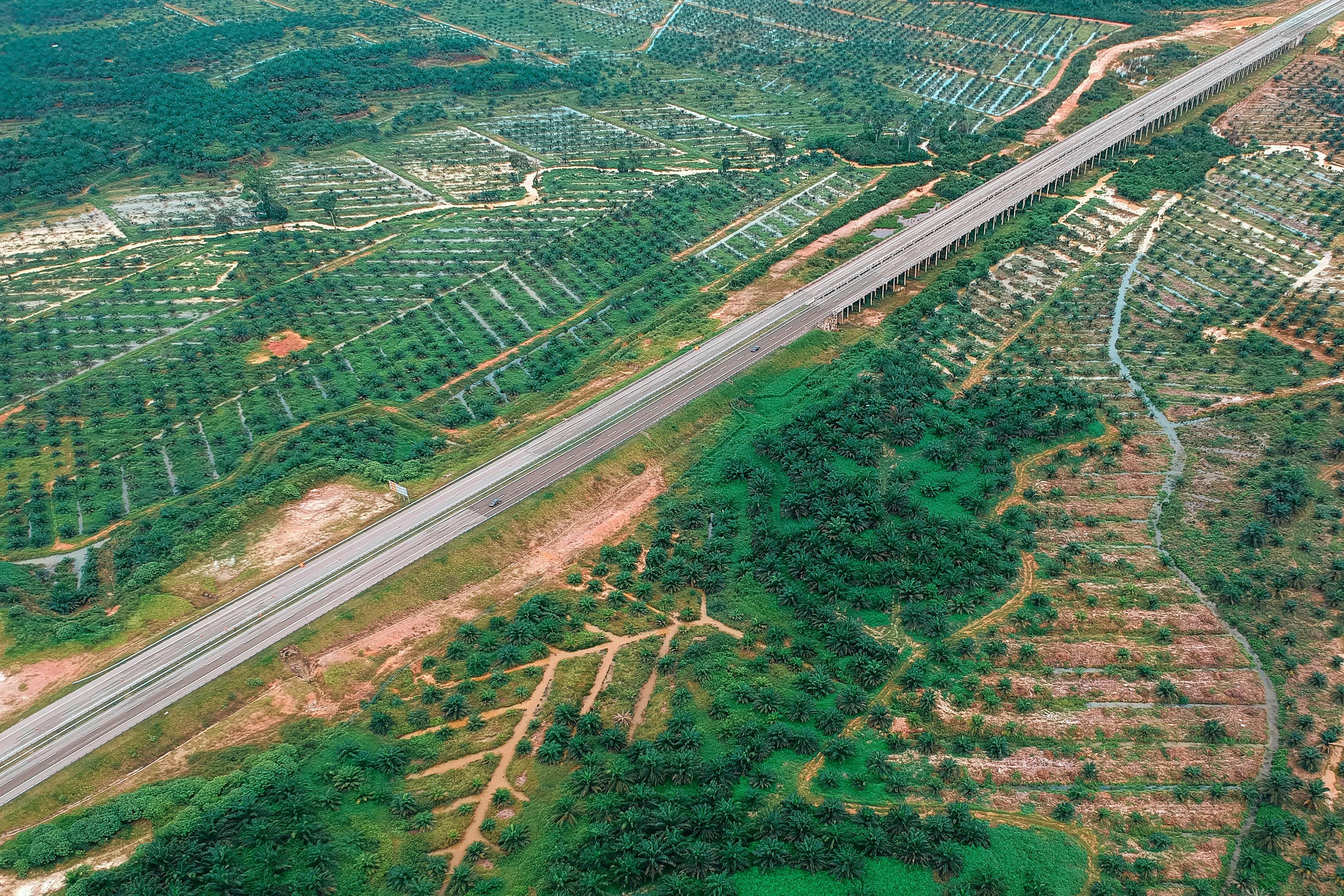 资阳临空规划最新情况概述