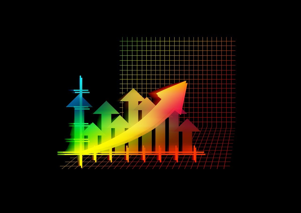 江玲域虎皮卡最新报价及市场趋势分析