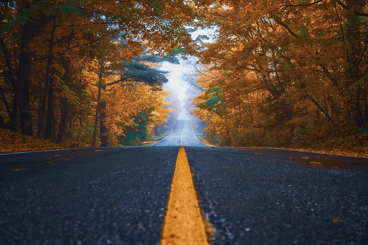 绿地天空树最新消息，揭开未来城市的绿色新篇章